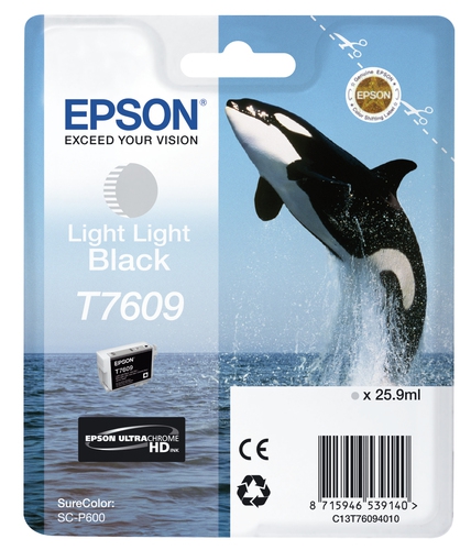 Epson Tinte schwarz light-light T760940 