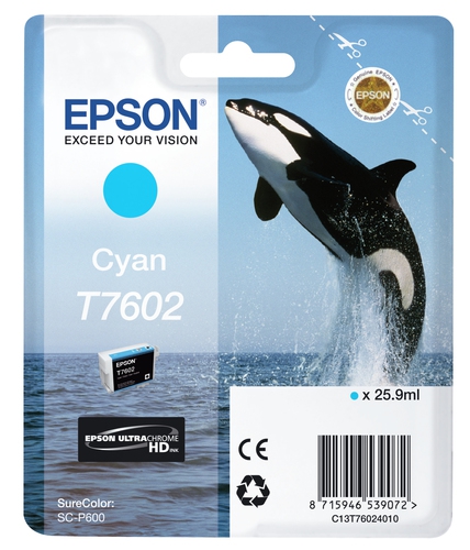 Epson Tinte cyan T760240 