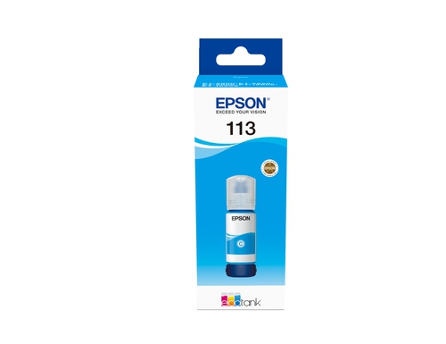 Epson Tinte cyan 113  /  T06B240